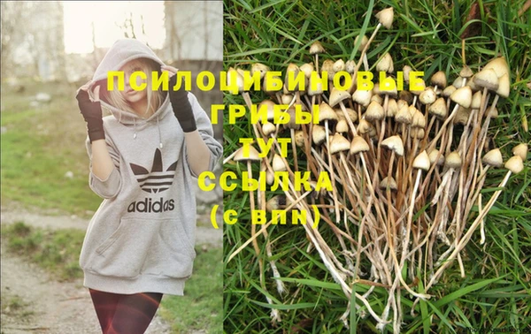 метадон Нягань