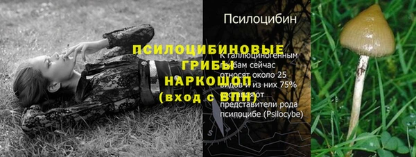 метадон Нягань